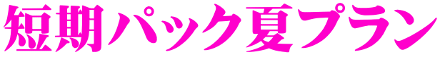 �Z���p�b�N�ăv����