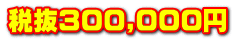 �Ŕ�300,000�~
