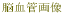 �É������}�s�@���ȁE�]�_�o�O�ȁE���n�r���e�[�V�����ȁ@�g�c�N���j�b�N�ł͔]���ǂ̎B�e��Ґ���
�摜�f�f���s���܂��B
