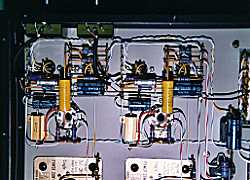 �M������̗l�q